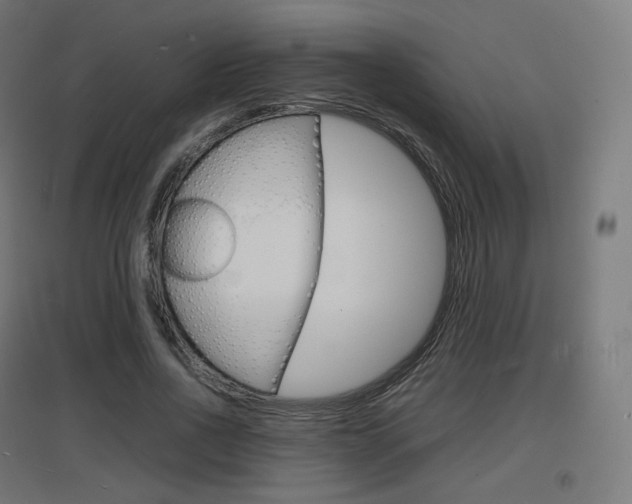 X0000097620734200802290819