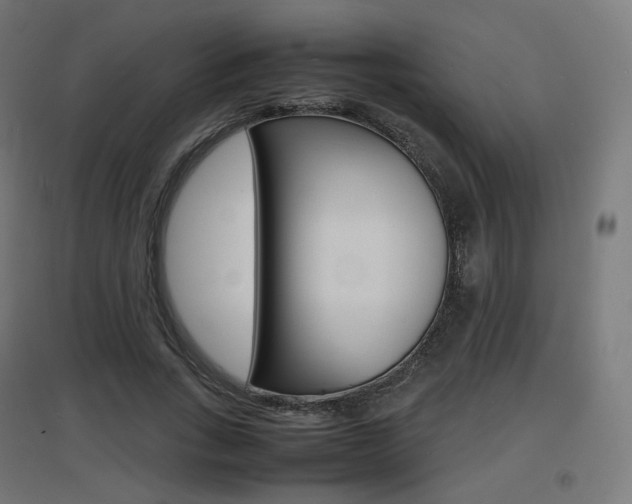 X0000097620735200802290819