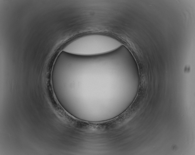 X0000097620736200802290819