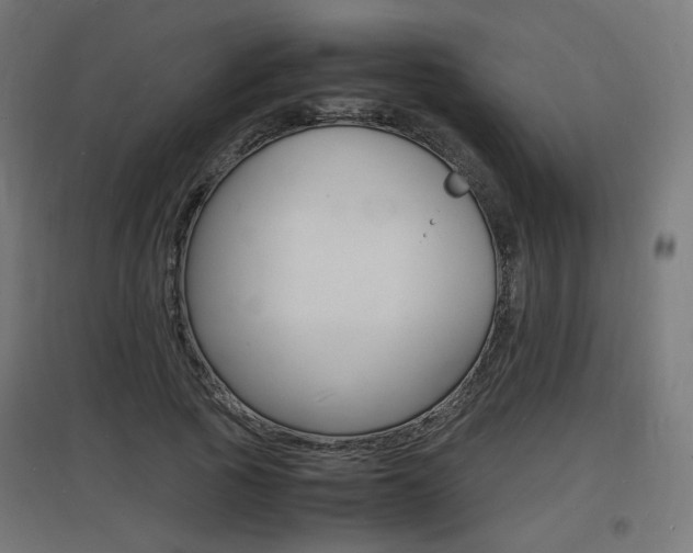 X0000097620737200802290819