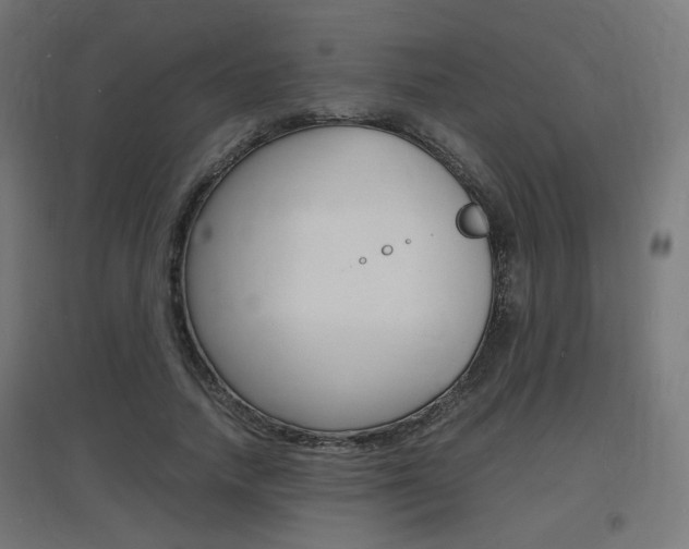 X0000097620738200802290819