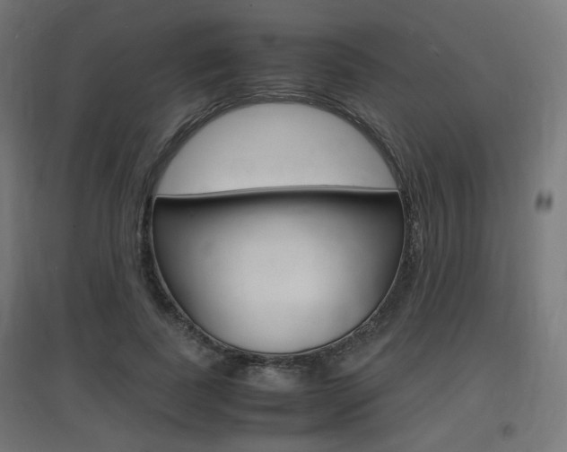 X0000097620739200802290819