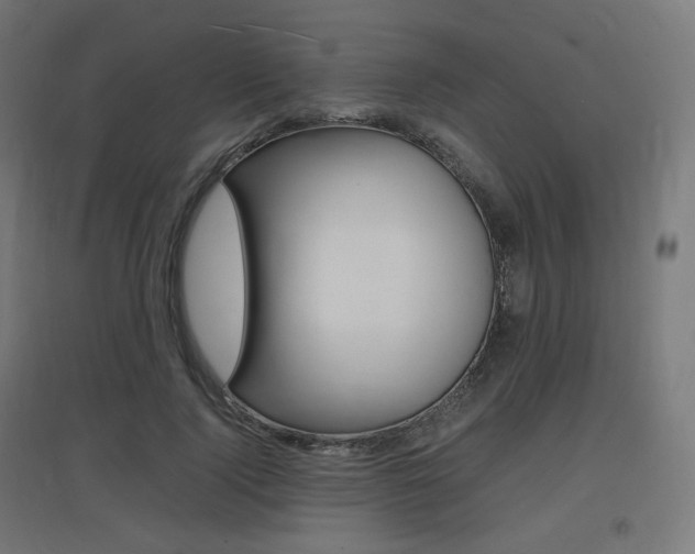 X0000097620740200802290819
