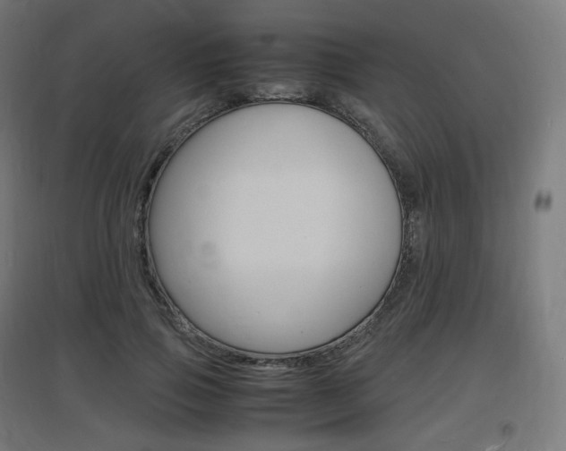 X0000097620741200802290820