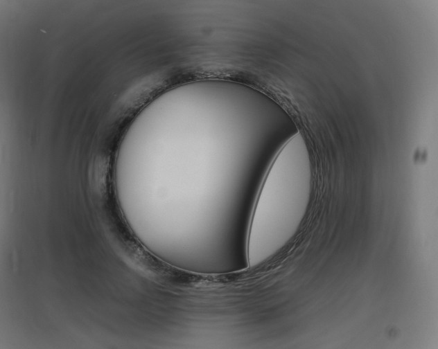 X0000097620742200802290820