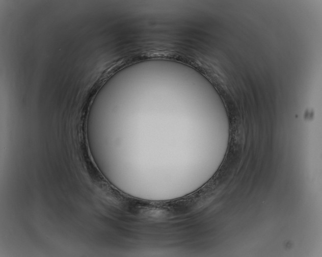 X0000097620743200802290820