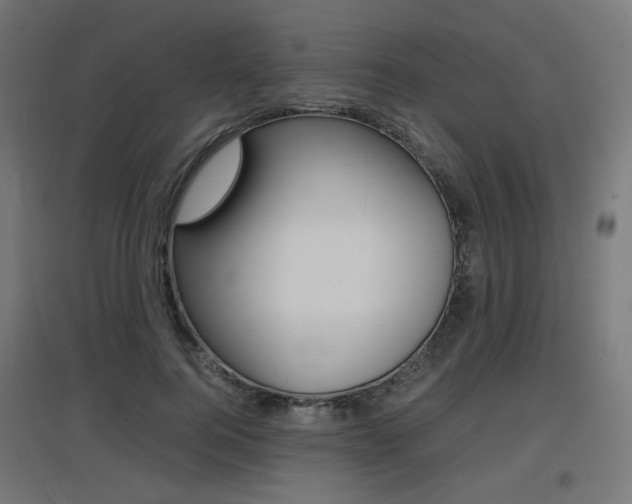X0000097620744200802290820