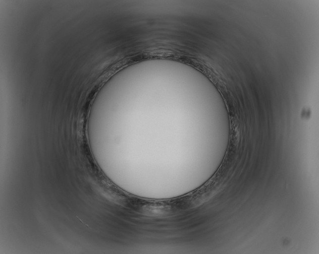 X0000097620745200802290820