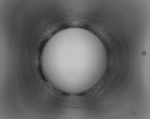 X0000097620746200802290820