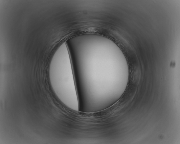 X0000097620747200802290820
