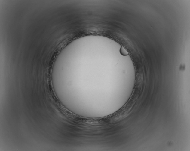 X0000097620749200802290820