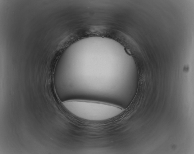 X0000097620751200802290820
