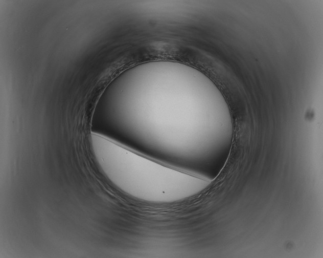 X0000097620752200802290820