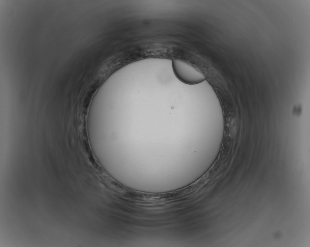 X0000097620753200802290820