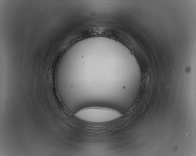 X0000097620754200802290820