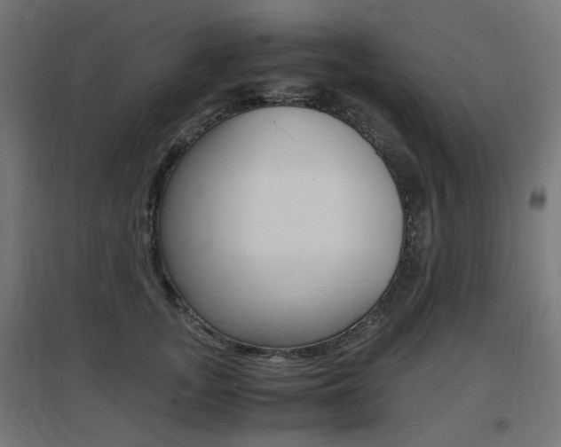 X0000097620755200802290820