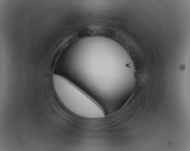 X0000097620756200802290820