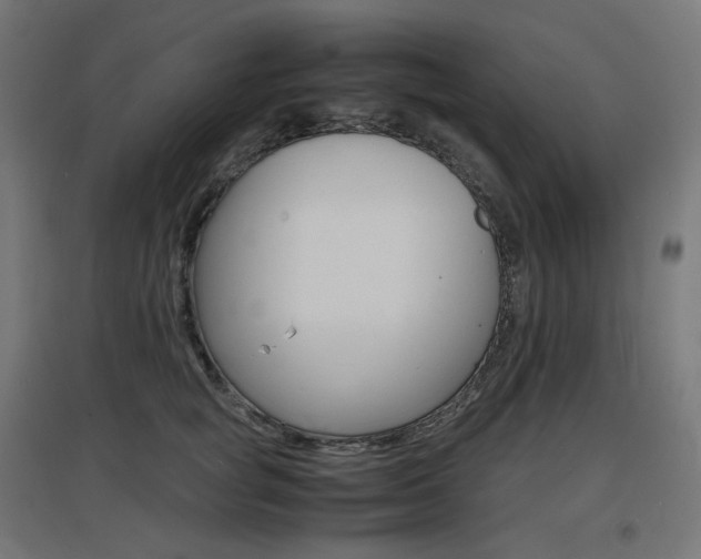 X0000097620757200802290820