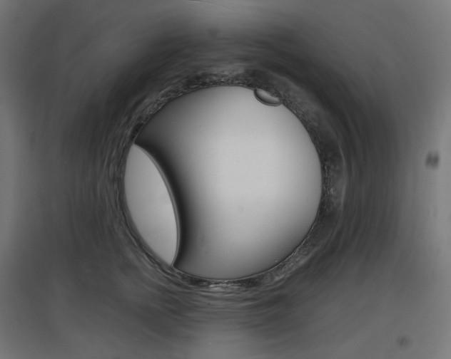 X0000097620758200802290820