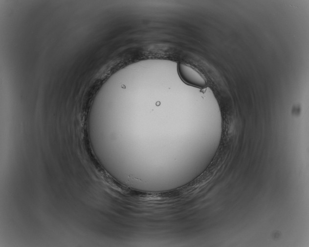 X0000097620759200802290820
