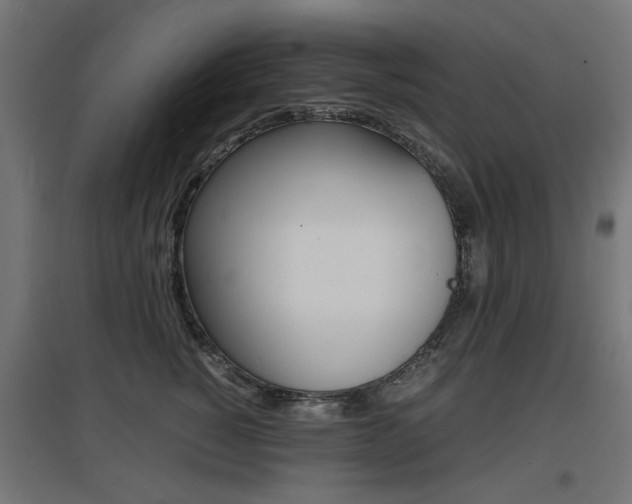 X0000097620760200802290820