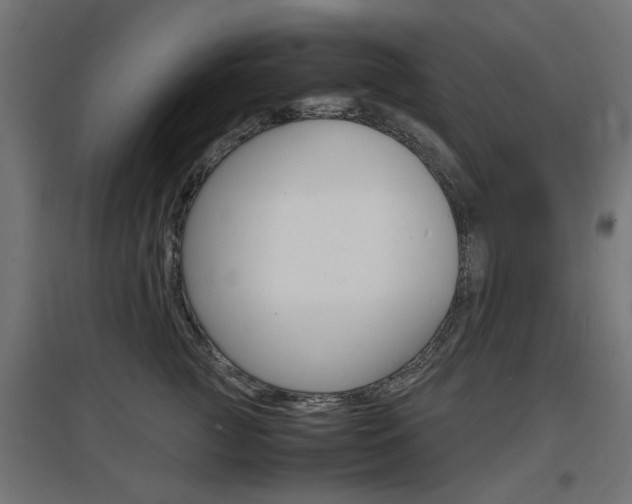 X0000097620761200802290820