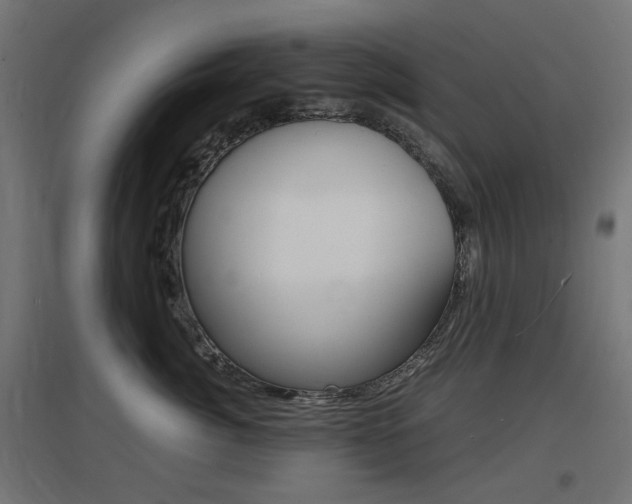 X0000097620764200802290820