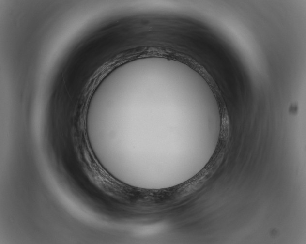 X0000097620765200802290820