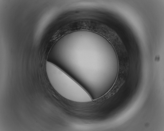 X0000097620766200802290820