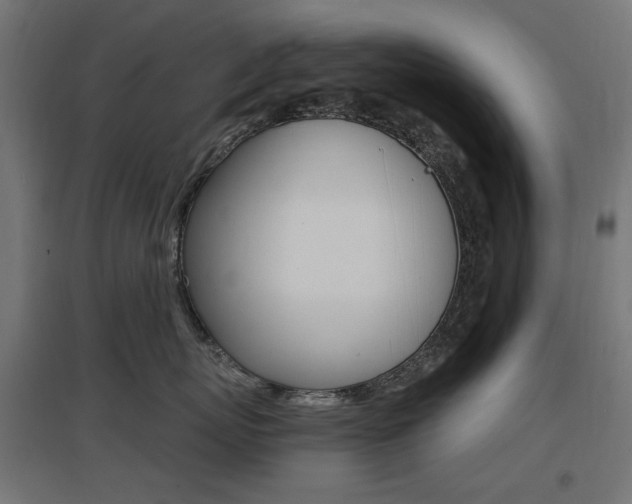 X0000097620767200802290820