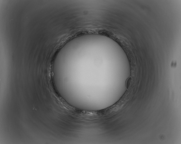X0000097620768200802290820