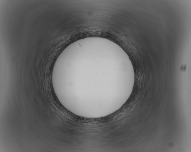 X0000097620769200802290819