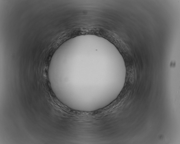 X0000097620770200802290819
