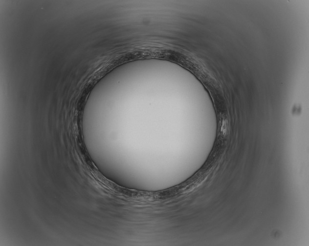 X0000097620771200802290819