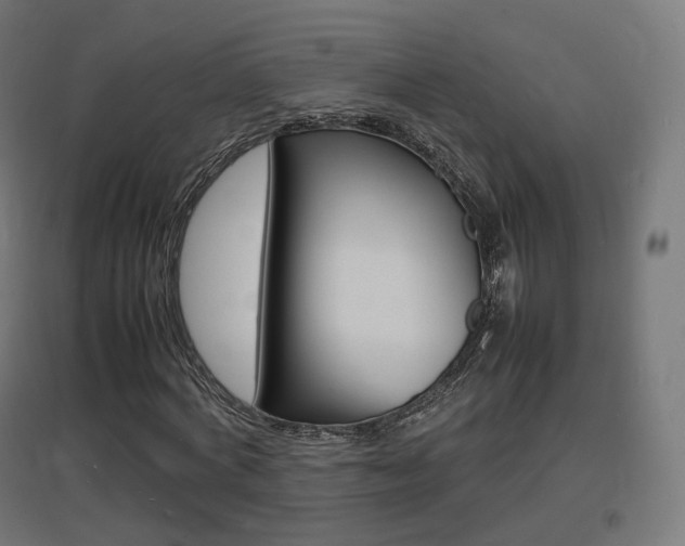 X0000097620772200802290819