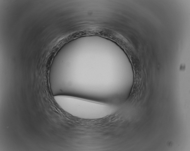X0000097620773200802290819