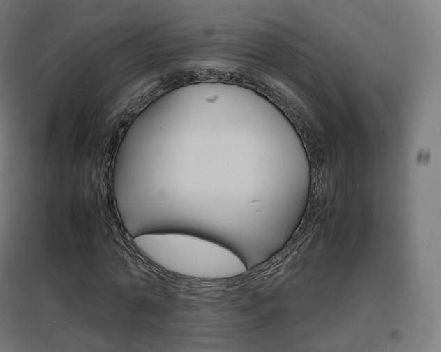 X0000097620774200802290819