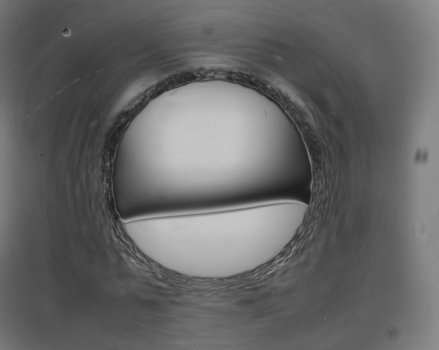 X0000097620775200802290819