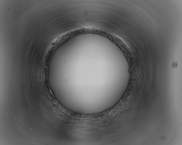 X0000097620776200802290819
