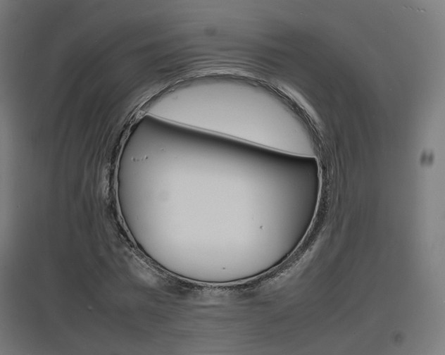 X0000097620777200802290819