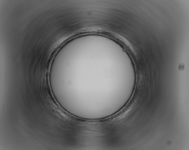 X0000097620778200802290819