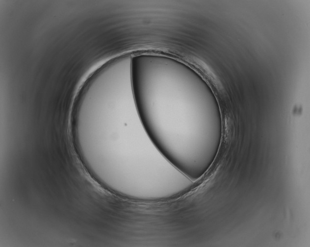 X0000097620780200802290819