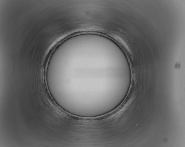 X0000097620781200802290819