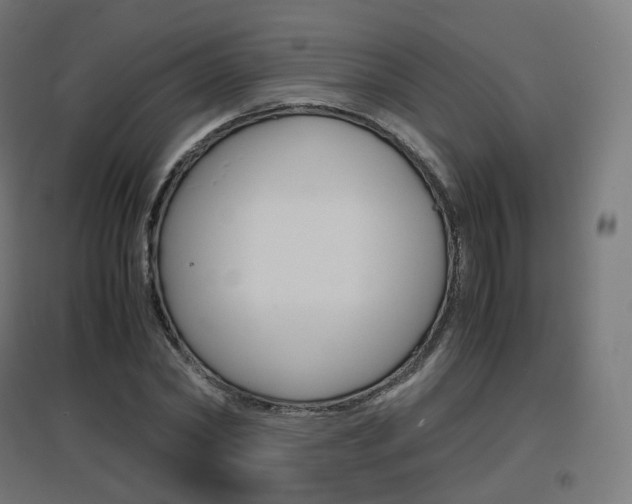 X0000097620782200802290819