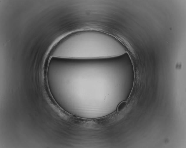 X0000097620784200802290819