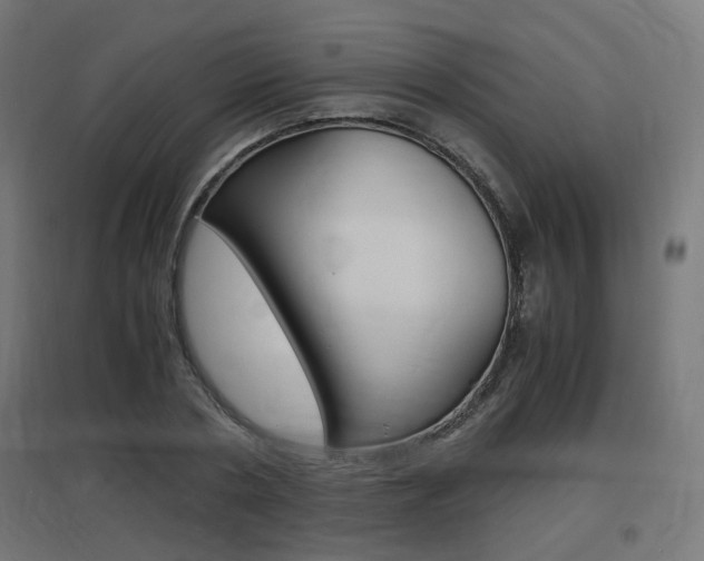 X0000097620786200802290819