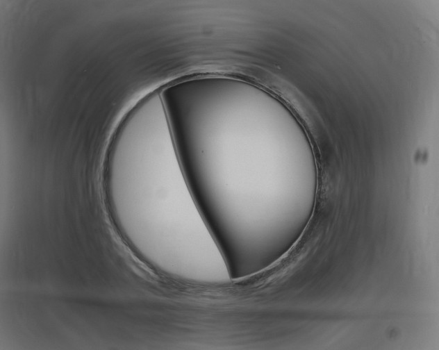 X0000097620787200802290819