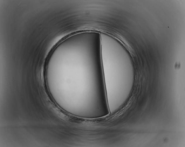 X0000097620788200802290819