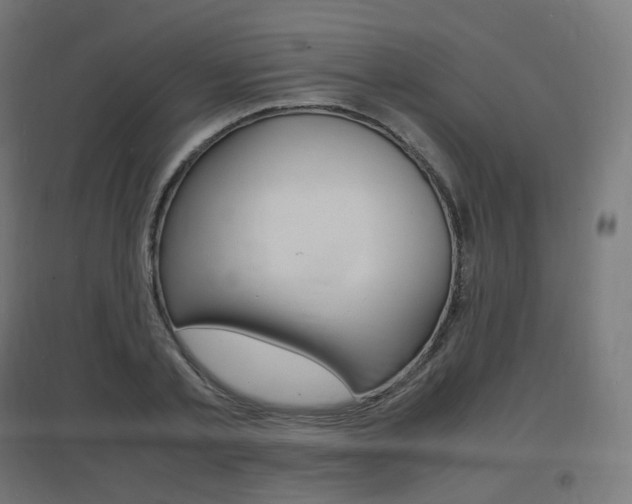 X0000097620789200802290819