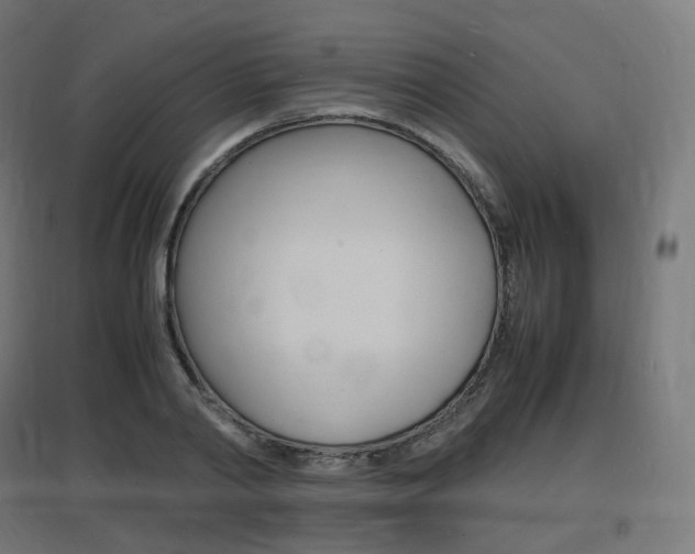 X0000097620790200802290819